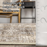 Living Room 10x14 Area Rugs - Washable Lightweight Area Rug Stain Resistant Carpet Vintage Soft Rugs