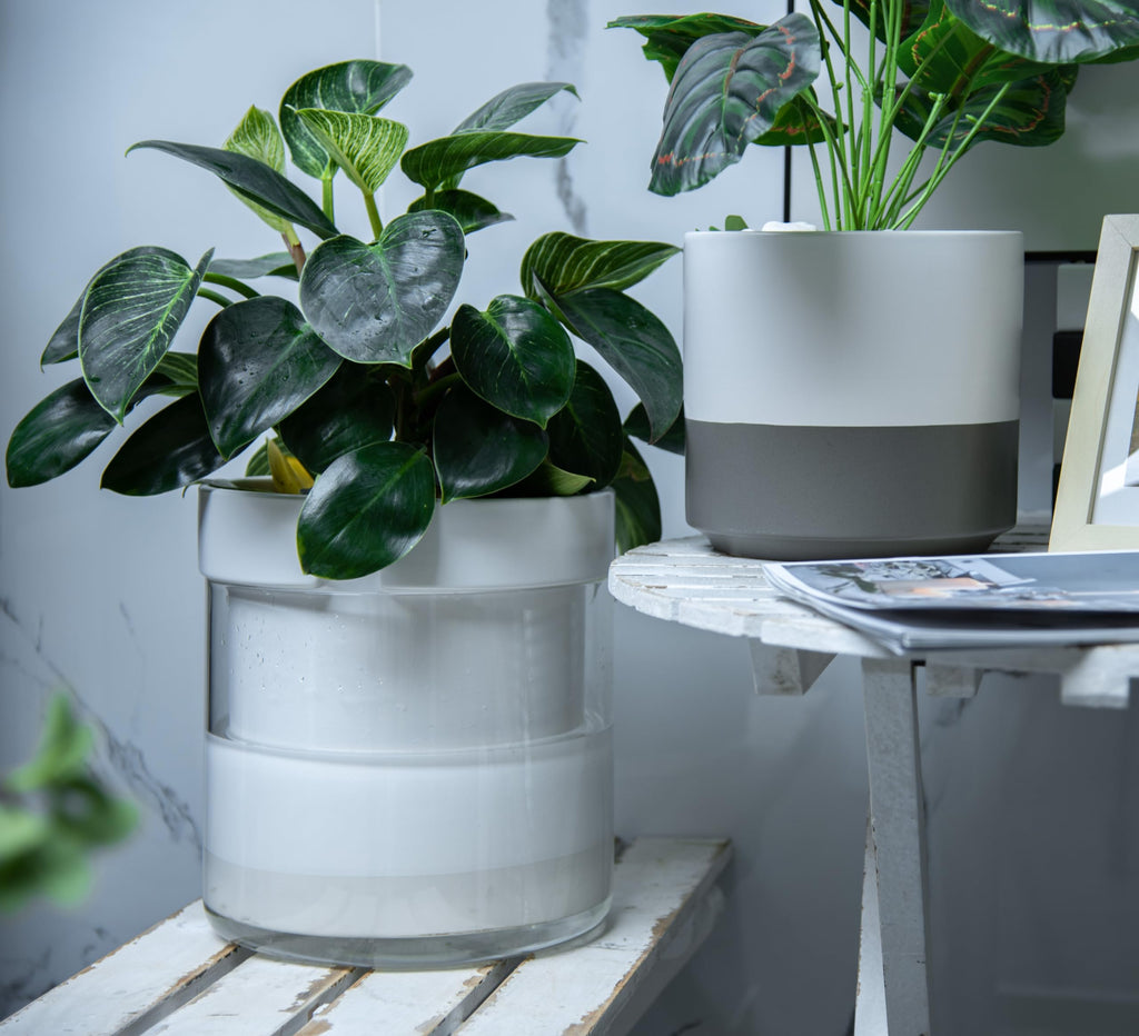 10 Inch Self Watering Planter, White Terracotta Clay Pot with Glass Reservoir for Indoor Plants, Herbs, Flowers, Set