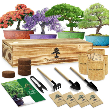 Bonsai Tree Kit, Bonsai Starter Kit for Growing Bonsai Plants with Tools, Grow Bonsai Tree Live Indoor, Garden Crafts