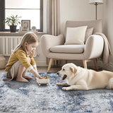 Area Rugs 8x10 Living Room Rugs: Modern Abstract Washable Rug with Non-Slip Backing