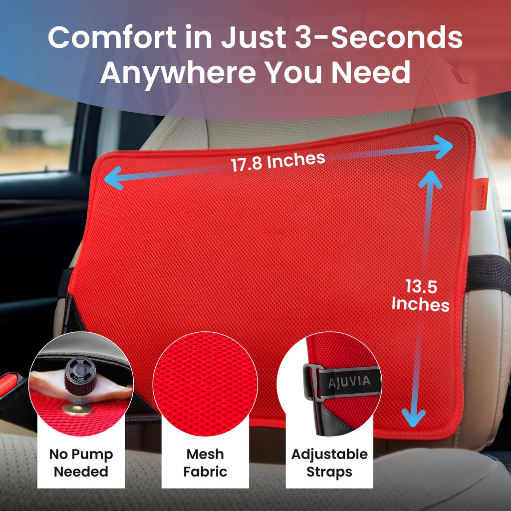 Back Vitalizer Lumbar Support Pillow Chair & Car