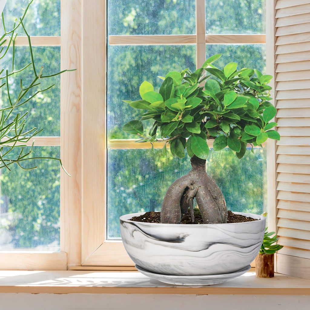 10Inch Large Planter Marble Pattern Ceramic Succulent Planter Big Plant Pot Succulents Container Flower Pot Indoor