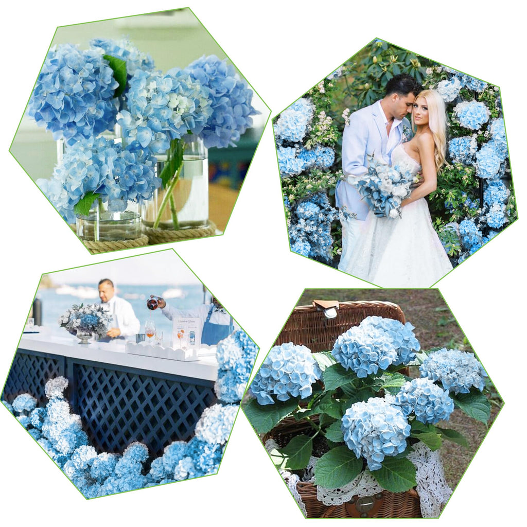 5pcs Real Touch Artificial Hydrangea, Baby Blue