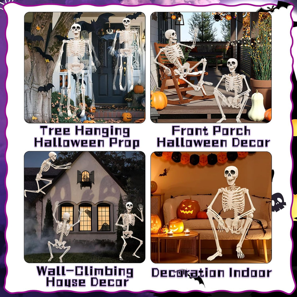 5.75ft Life Size Posable Halloween Skeleton, Movable Joints