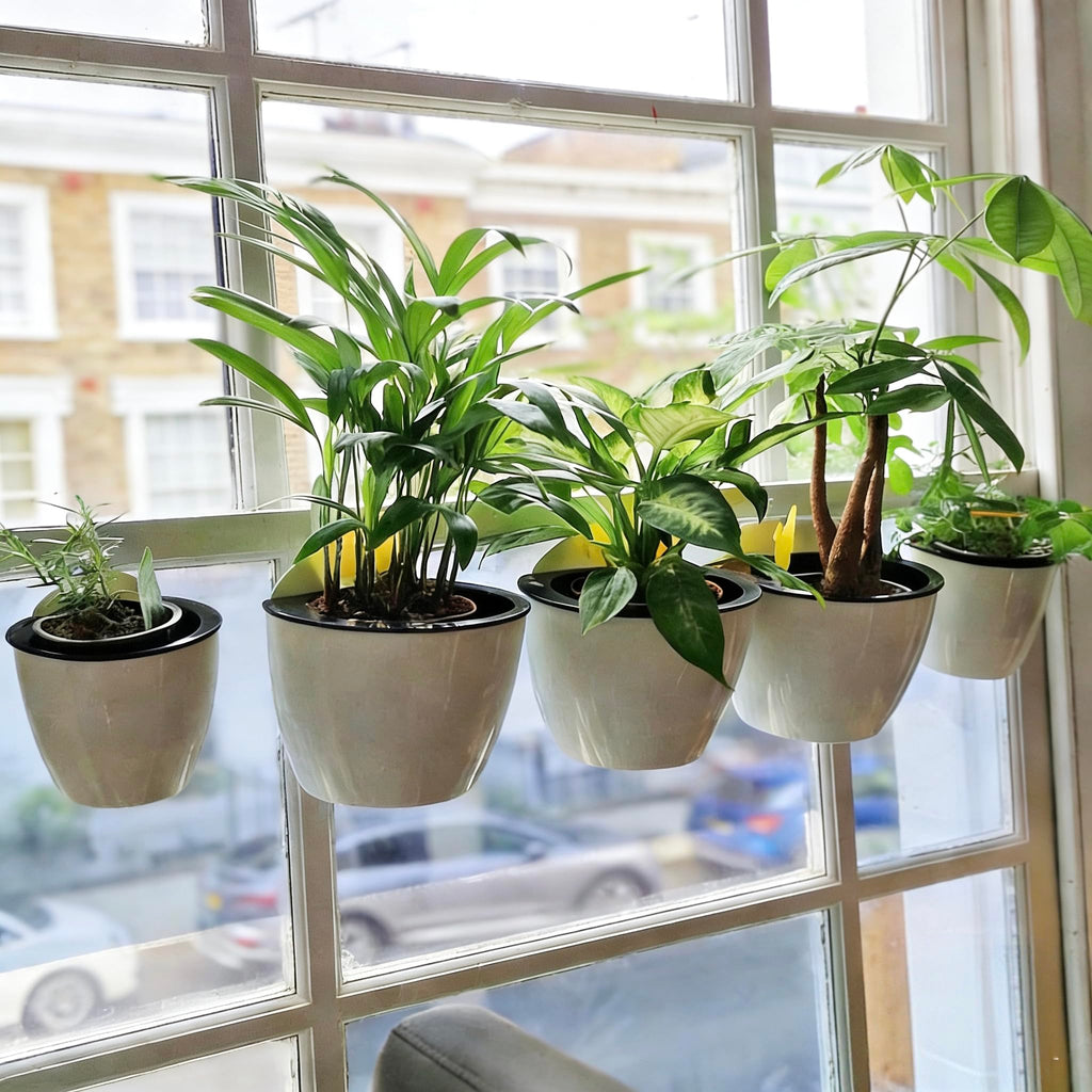 6 Pack Hanging Planter Wall Planter Self Watering 5 inch Plant Pot with Hardware Vertical Planter Outdoor Indoor