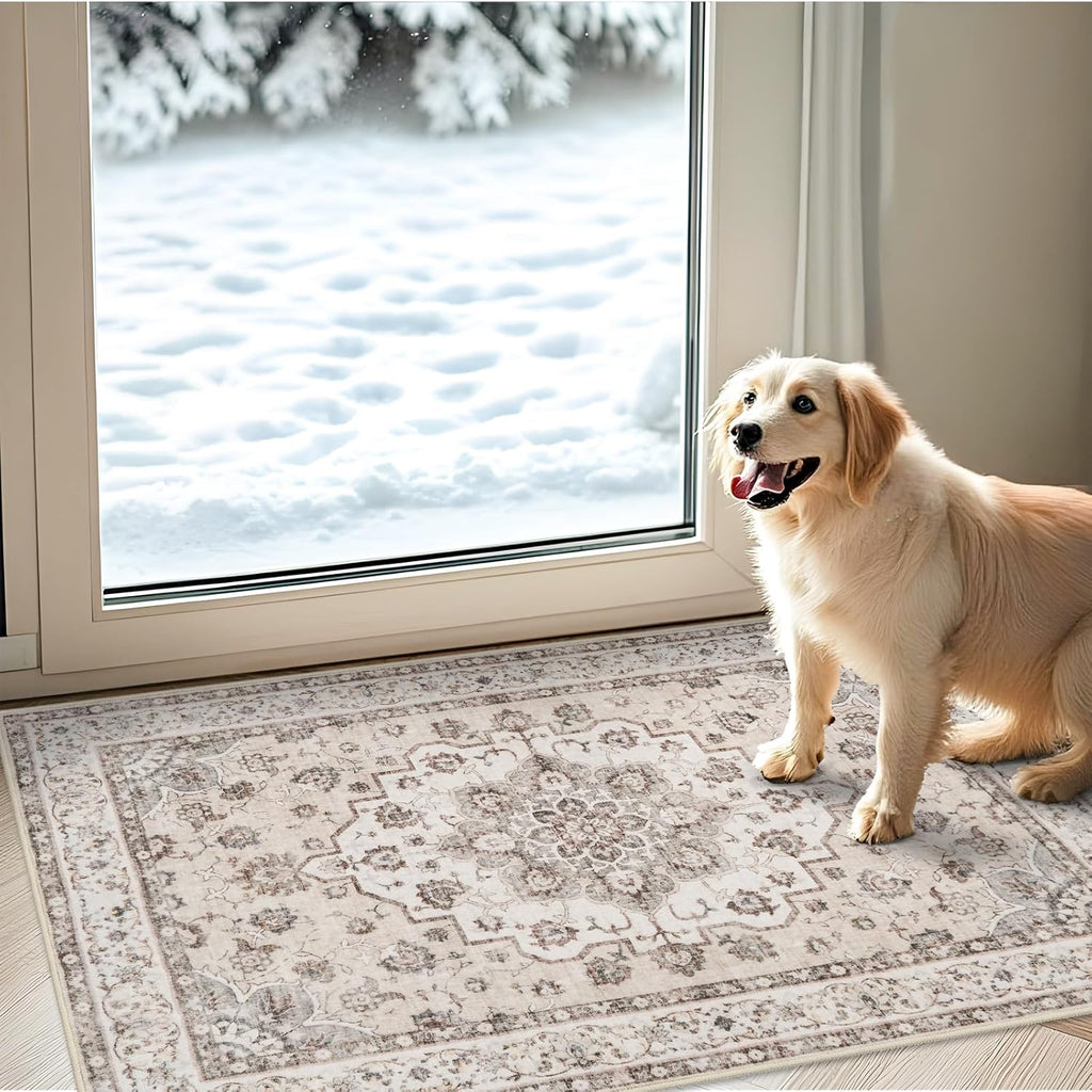 Washable 2x3 Entryway Area Rug: Vintage Non-Slip Backing Rugs for Kitchen Bathroom Water Resistant Carpet for Bedroom