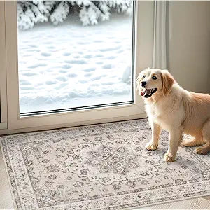 Washable 2x3 Entryway Area Rug: Vintage Non-Slip Backing Rugs Bathroom Water Resistant Carpet Soft Low Pile Front
