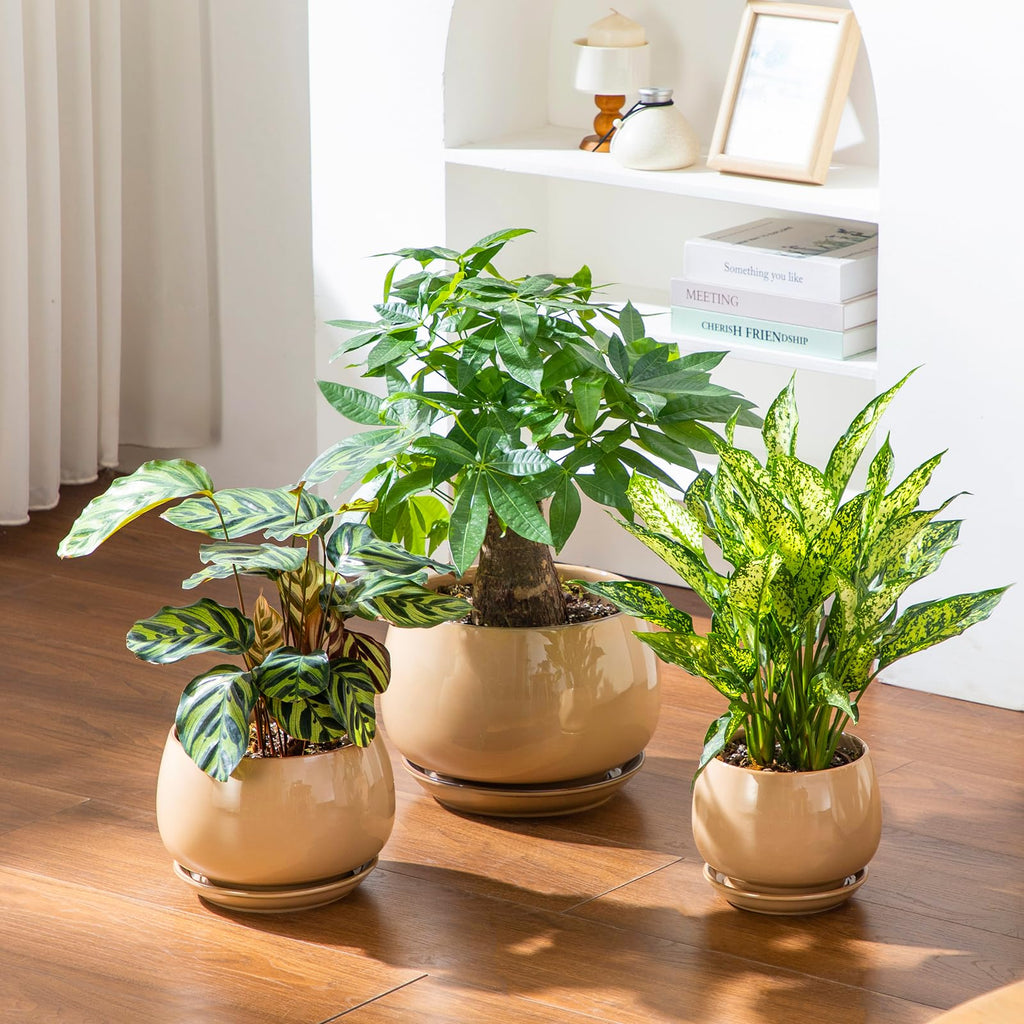 3-Pack Ceramic Plant Pots, 7.3/9.6/11.6 Inch Indoor Planters with Saucers & Drainage Hole Planter pots for Indoor