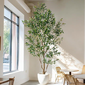 7ft Faux Olive Tree with White Pot & Moss, Artificial Olive Tree Indoor Outdoor, PE/PVC Leaves, Realistic Resin Trunk