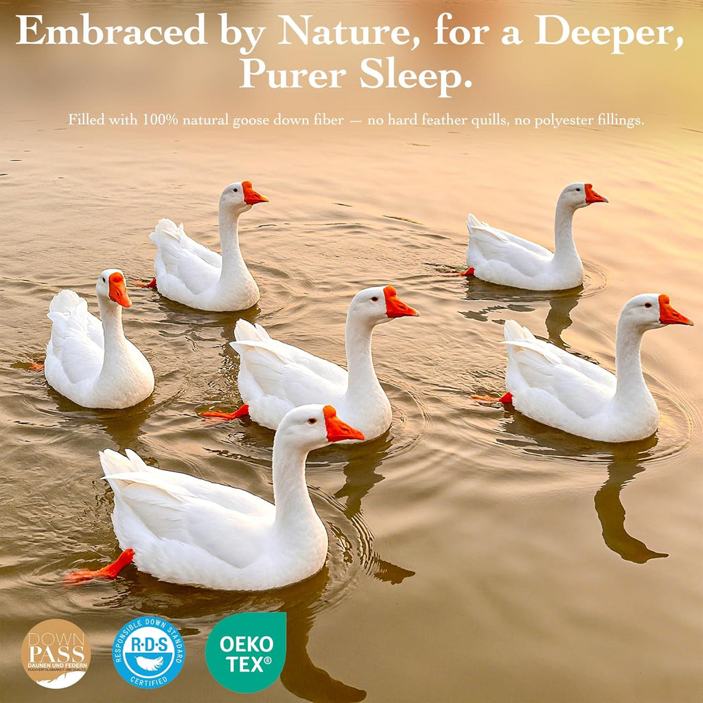 Goose Down Fiber Comforter Queen - All Season Naturally Breathable Down Comforters