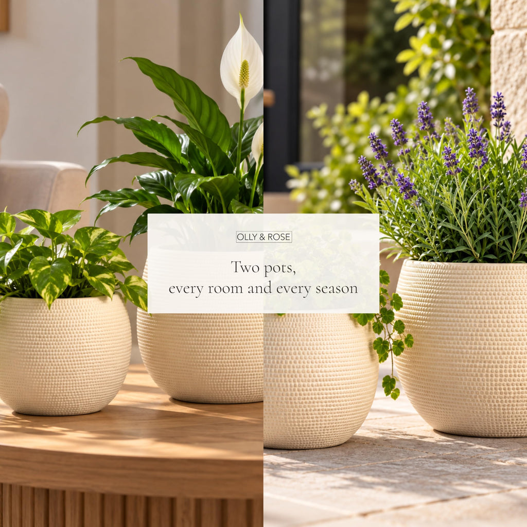 Barcelona Barcelona Ceramic Cement Plant Pot Set 2 - Beige Flower Pots - Indoor & Outdoor Planters