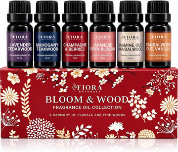 Premium Fragrance Oil Set for Candle Making, Soap, Wax Melts and Diffusers