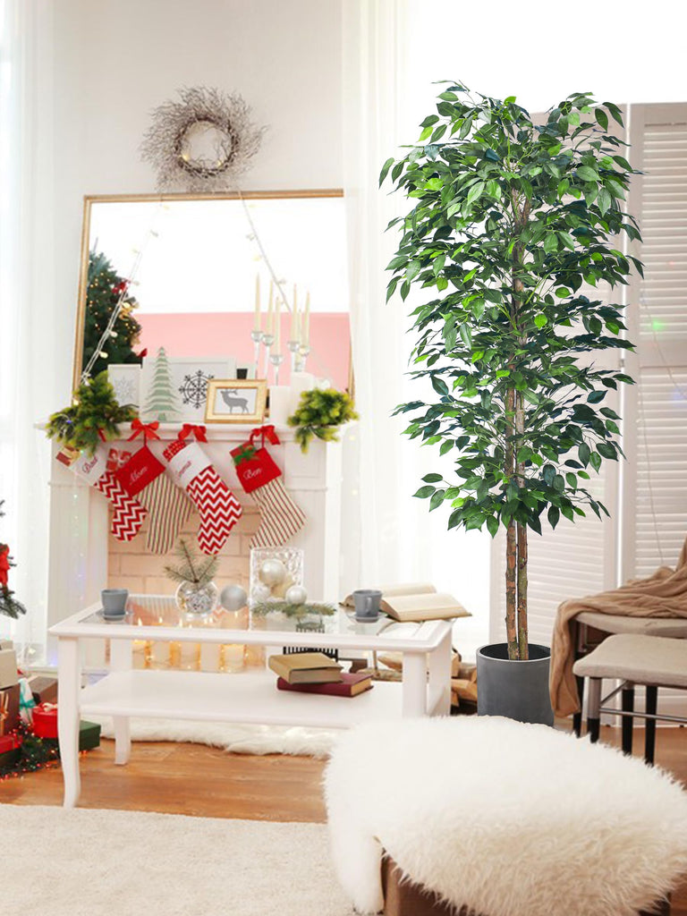 6FT Artificial Ficus Tree with Realistic Leaves, Faux Ficus Tree Indoor Decor