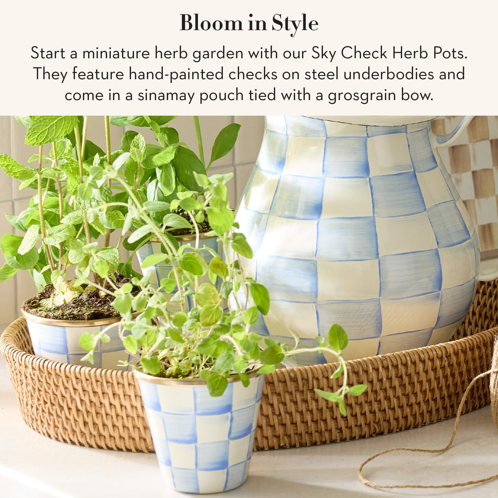 Enamel Herb Pot Set, Small, Light-Blue-and-White Sky Check