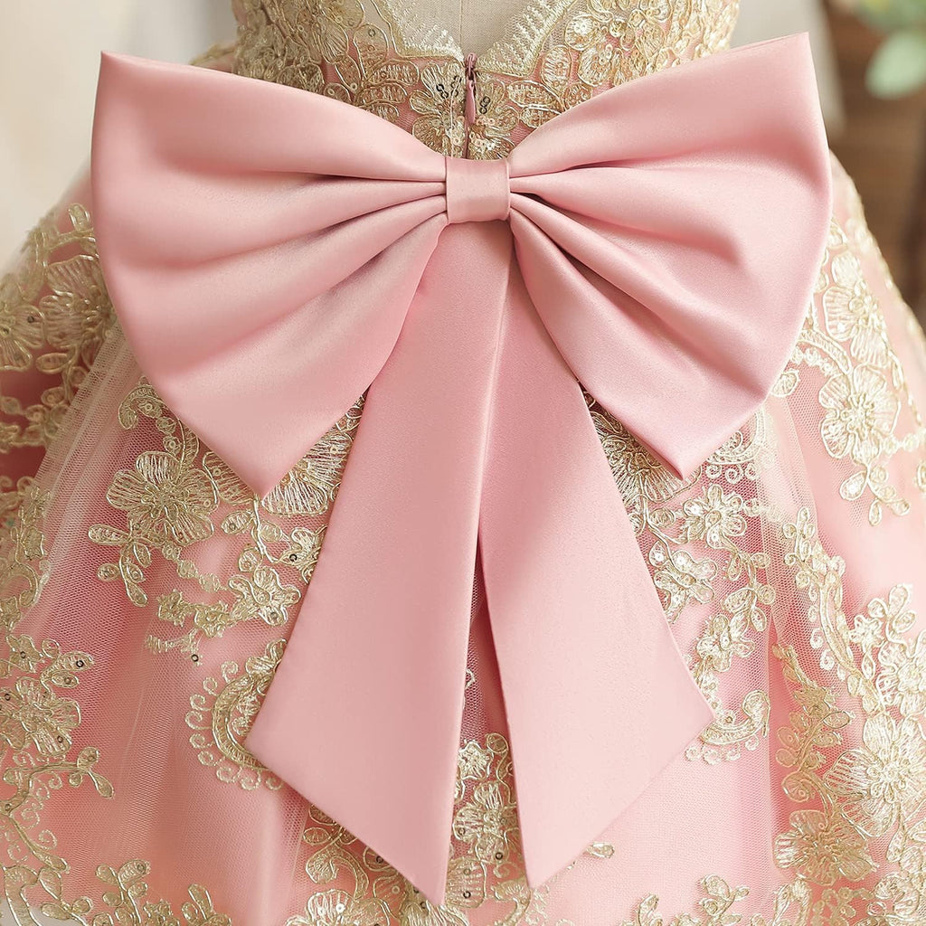 Baby Girl Tutu Dress Princess Lace Embroidery Wedding Party Gown
