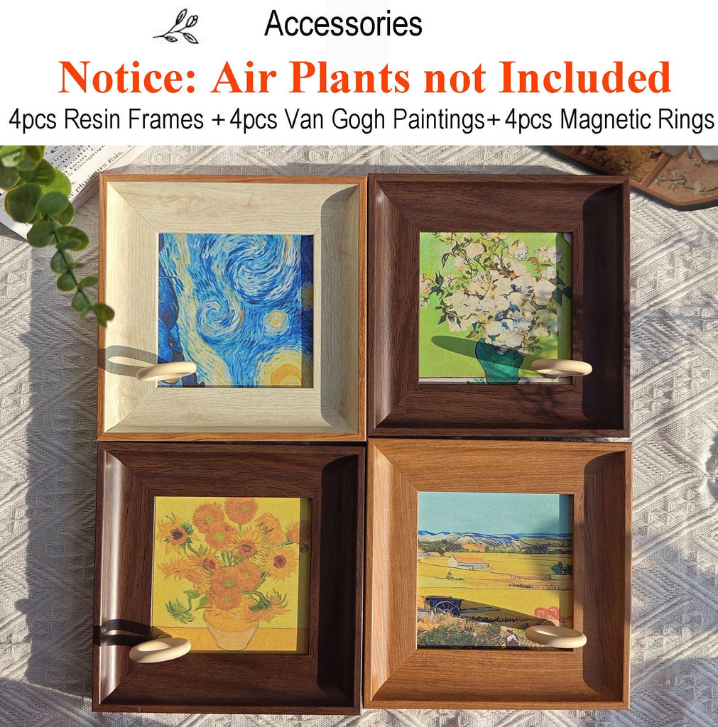 Set of 4 Van Gogh Painting & Air Plant Living Holder Stand Wall Art Decor