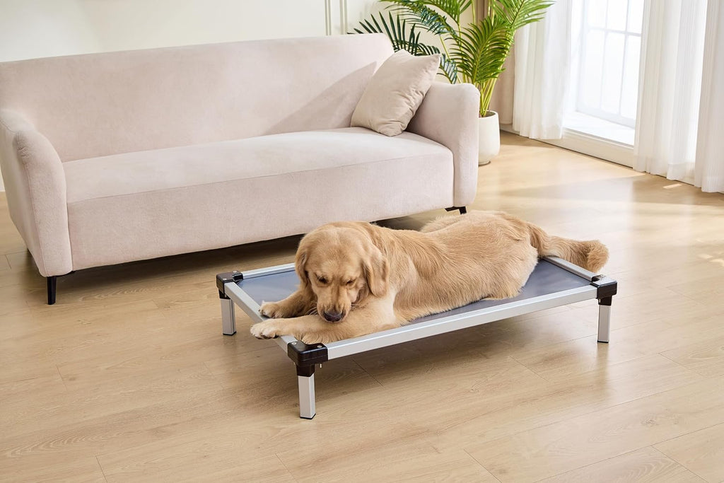 Elevated Dog Bed 42x28 Inch, Chew Resistant Raised Dog Cot, Waterproof Cooling Pet Bed for Indoor Outdoor Use