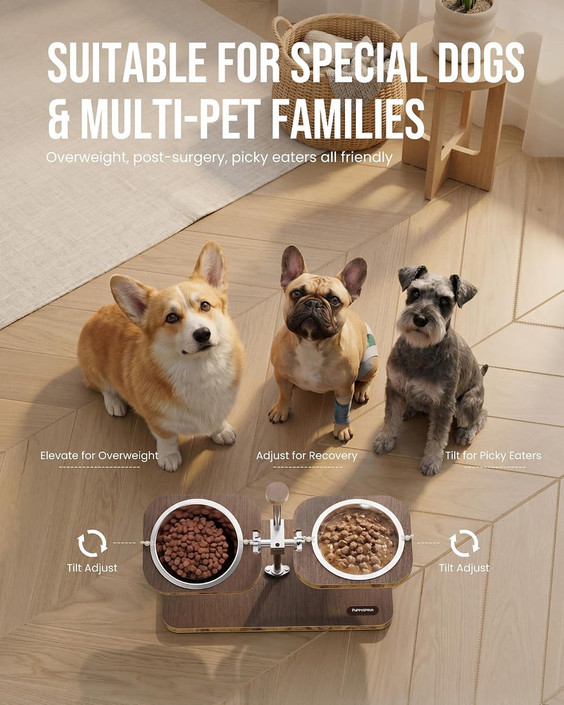 Elevated Dog Bowls, Adjustable Height & Tilt Bowl Stand