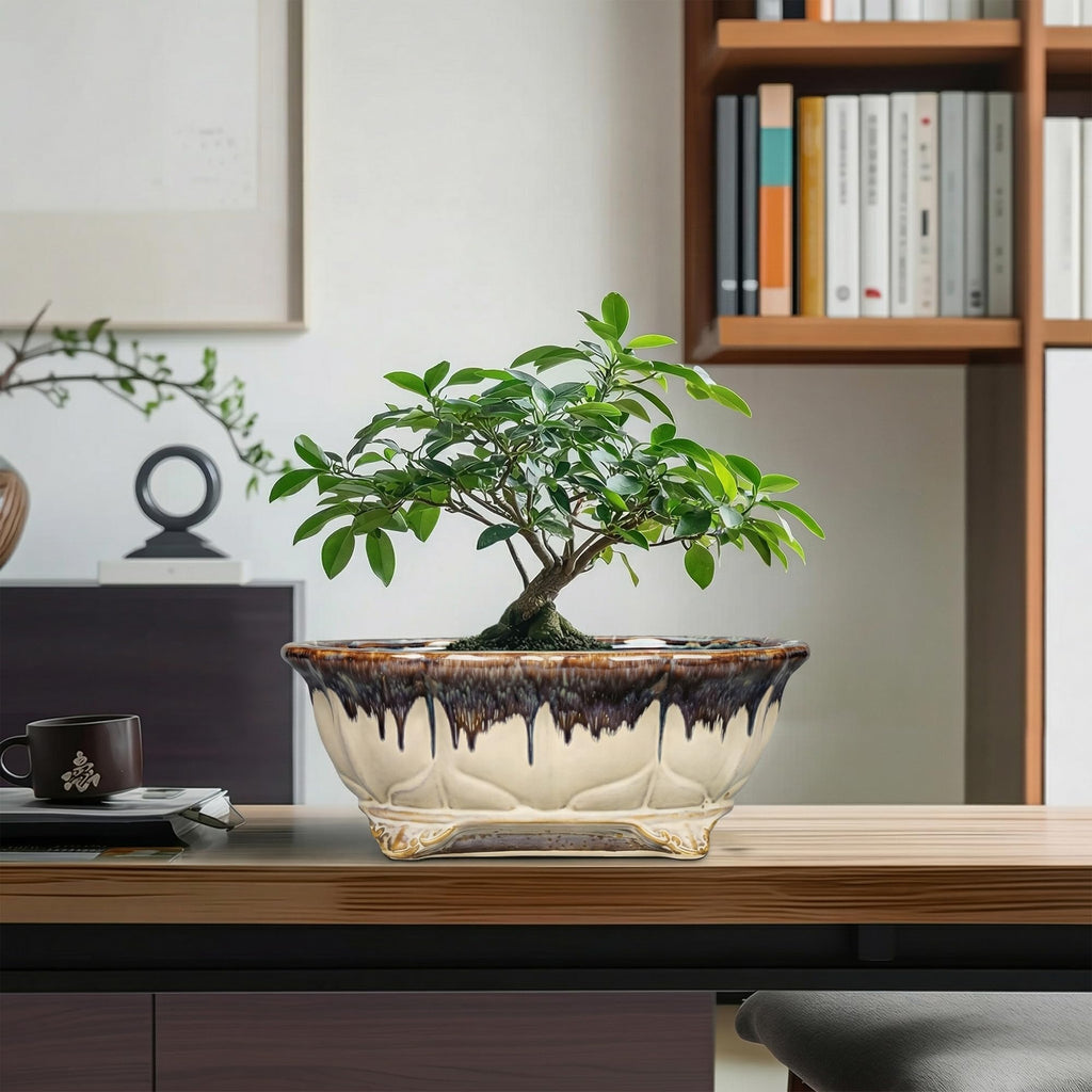 Ceramic Bonsai Tree Pots - 11 Inch Succulent Pots with Drainage Hole, Decorative Bonsai Pot for Indoor Outdoor