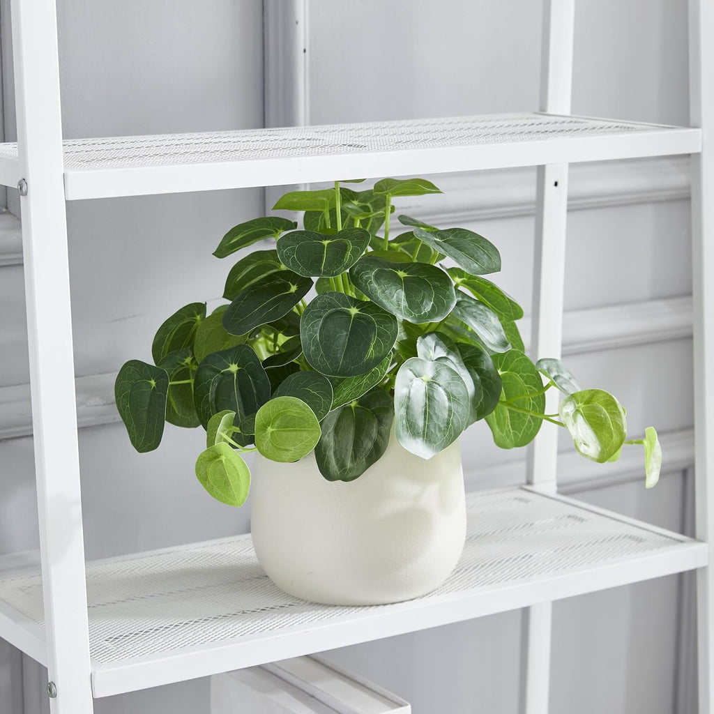 Artificial Pilea Plant - Luxury Potted Money Plant in White Textured Pot with Real Pebbles, Premium Soft Plastic