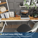 Twin Loft Bed with Large Desk and Storage Shelves
