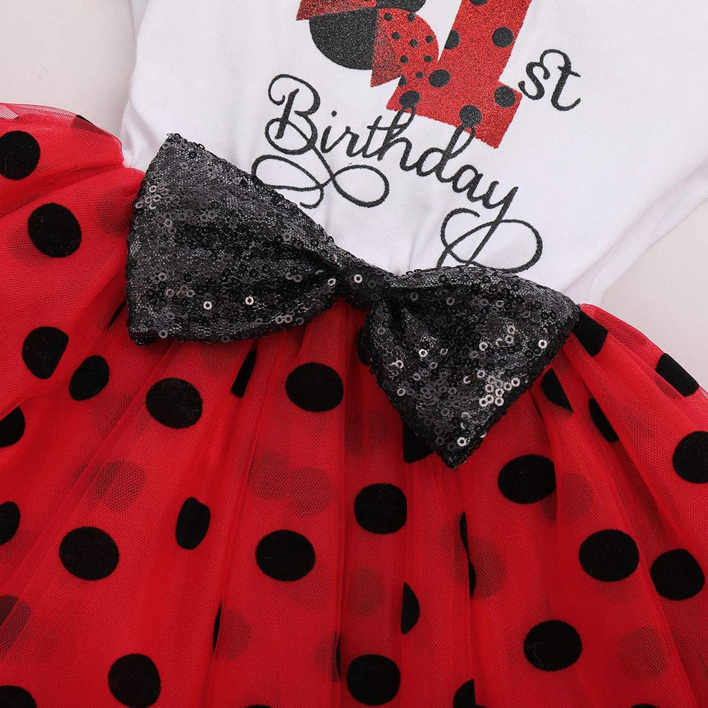 Baby Girls 1st 2nd Birthday Outfit Tutu Princess Dress for Cake Smash