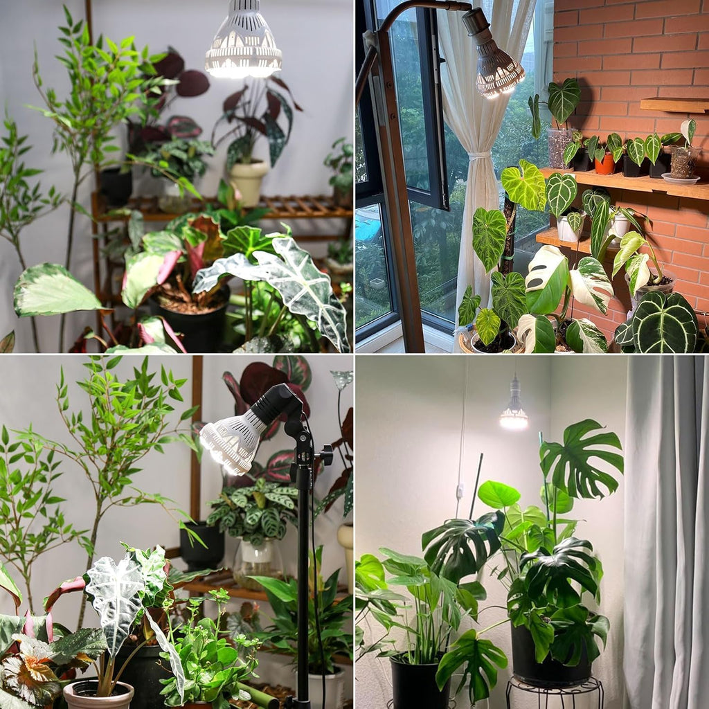 Dimmable Grow Light Bulb Full Spectrum, High PPFD 30W Grow Bulb (450 Watt Equiv) with Remote, Auto On Off Timing 4 8