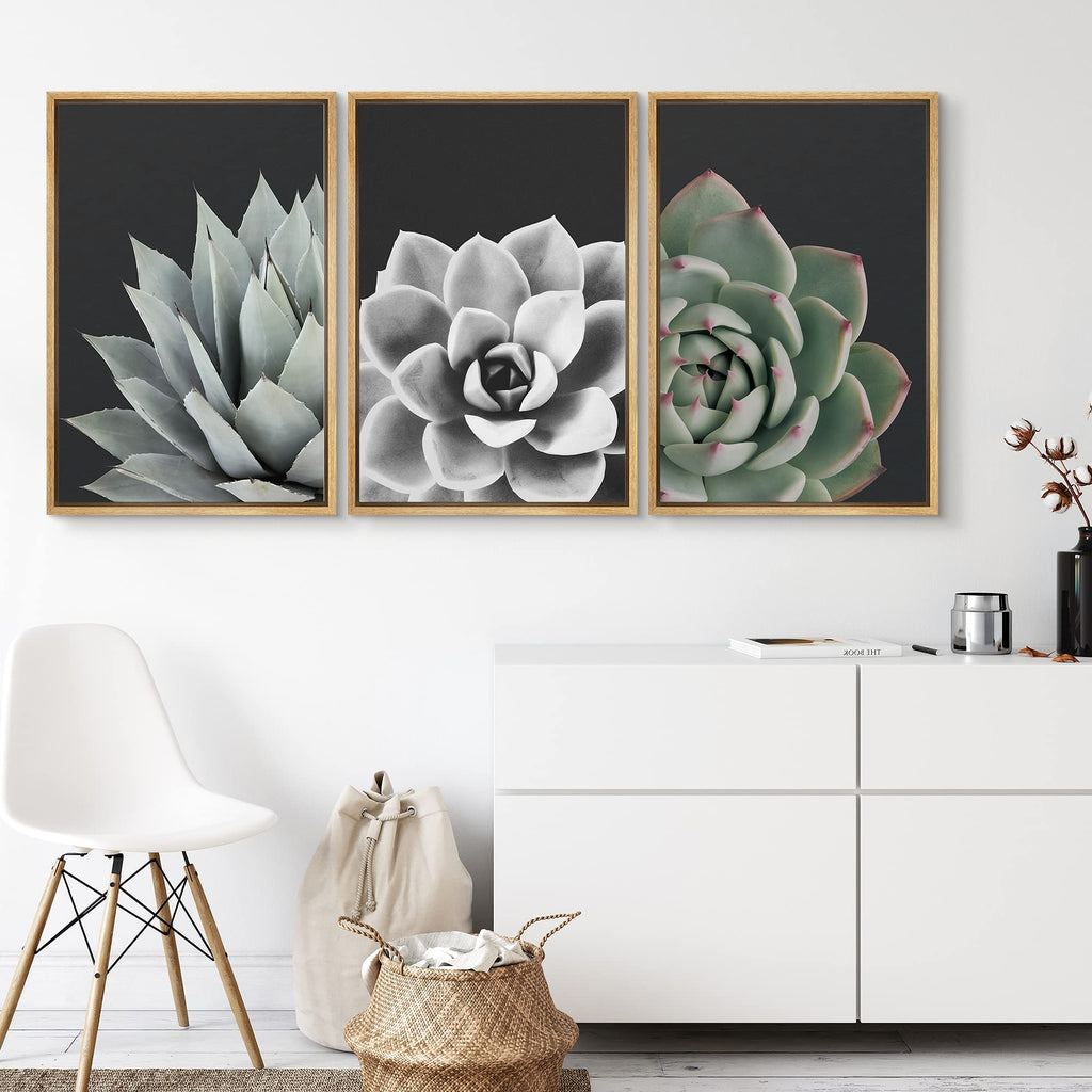 Framed Wall Art Print Set Desert Rose Echeveria Succulent Set Nature Plants Photography Modern Art Closeup Relax/Calm
