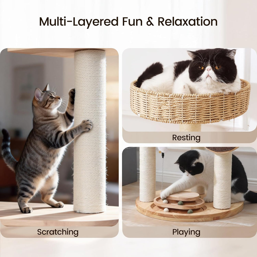 Cat Tree Tower for Large Cats, 48-Inch Solid Wood Cat Condo