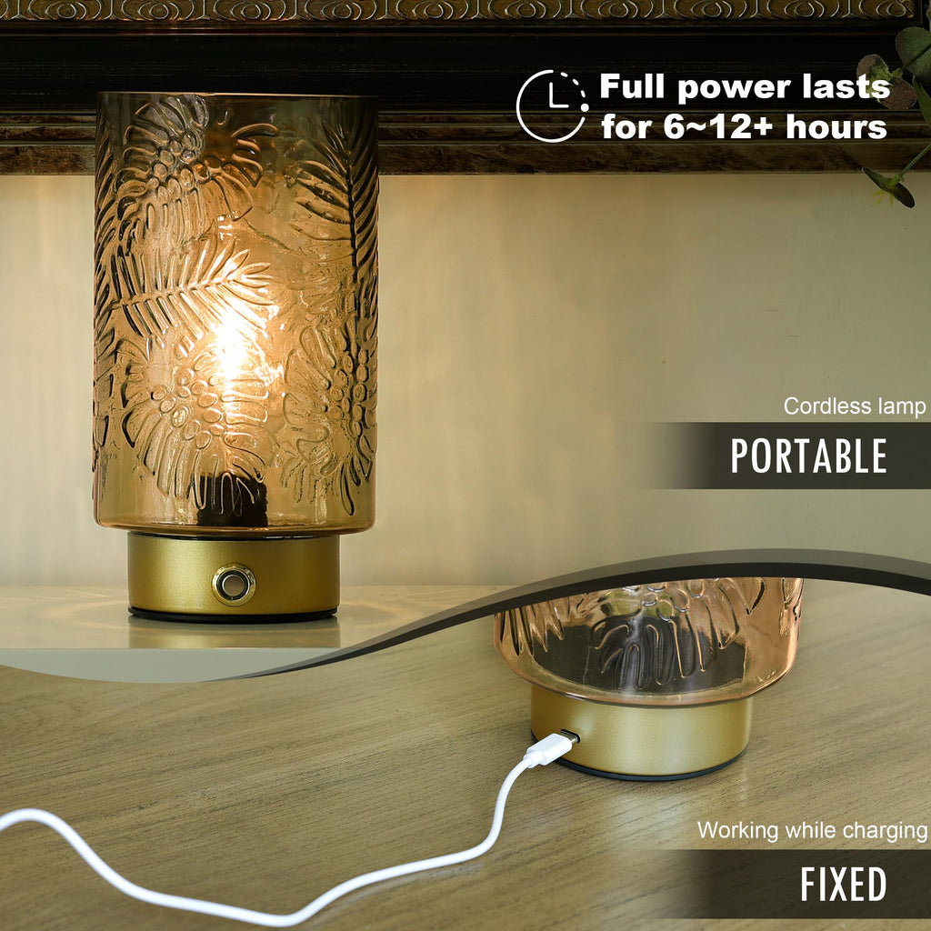 Cordless Lamps Rechargeable Battery Operated lamp,Glass Table Lamp Remote Control-Dimmable Brightness Touch Wireless
