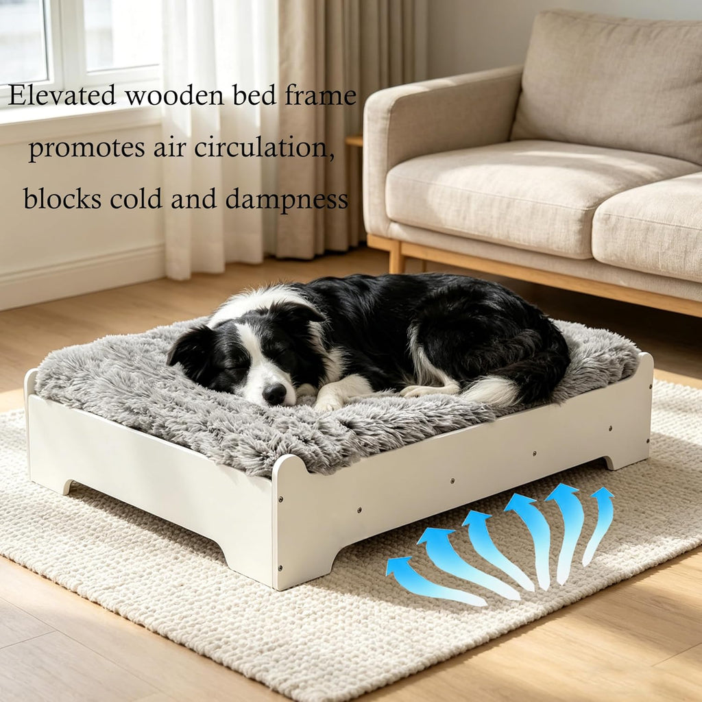 Large Size Elevated Dog Bed, White Finish Raised Dog Bed