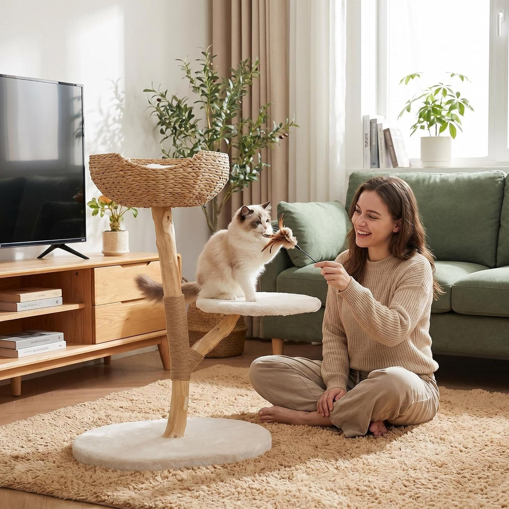 Modern Cat Tree, Natural Pear Wooden Cat Tower for Indoor Cats, Real Branch Luxury Cat Condo with Scratching Post &