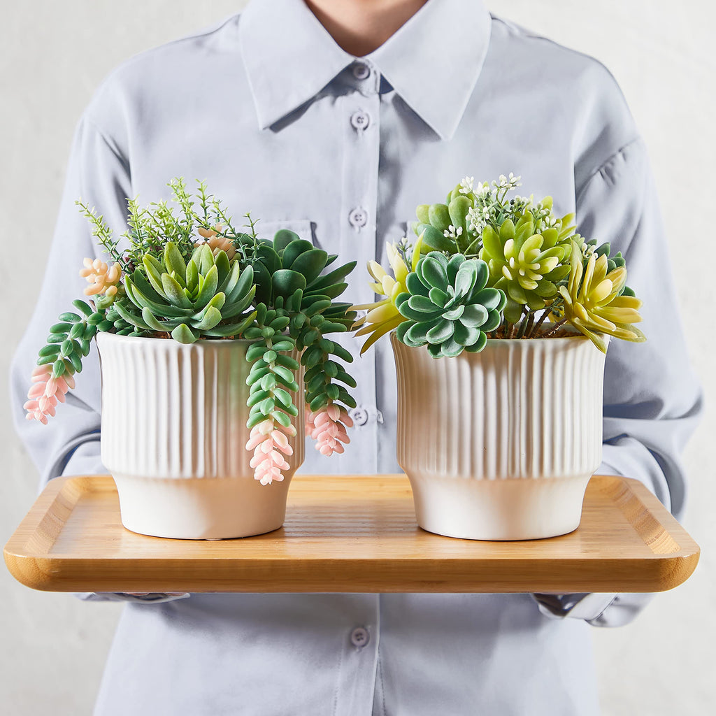 Artificial Succulent Plants, Faux Succulents Fake Plants Set of 2