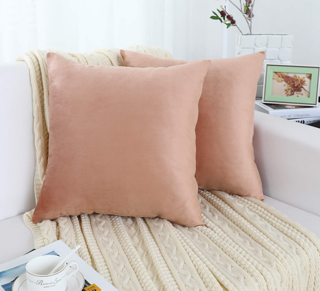 Set of 2 Comfy Soft Velvet Throw Pillow Covers for Sofa Couch Invisible Zipper Decorative Solid Square Cushion Cases