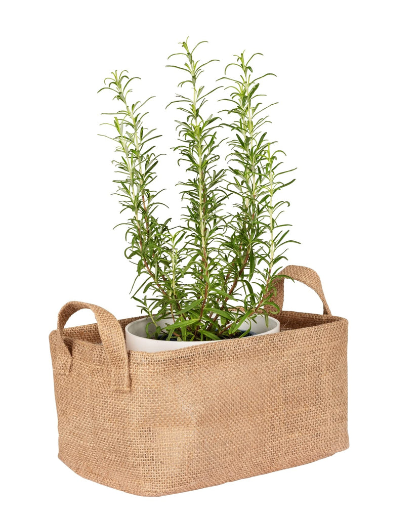 Juna M storage basket, decorative basket for neatly storing accessories such as clothes with two practical handles