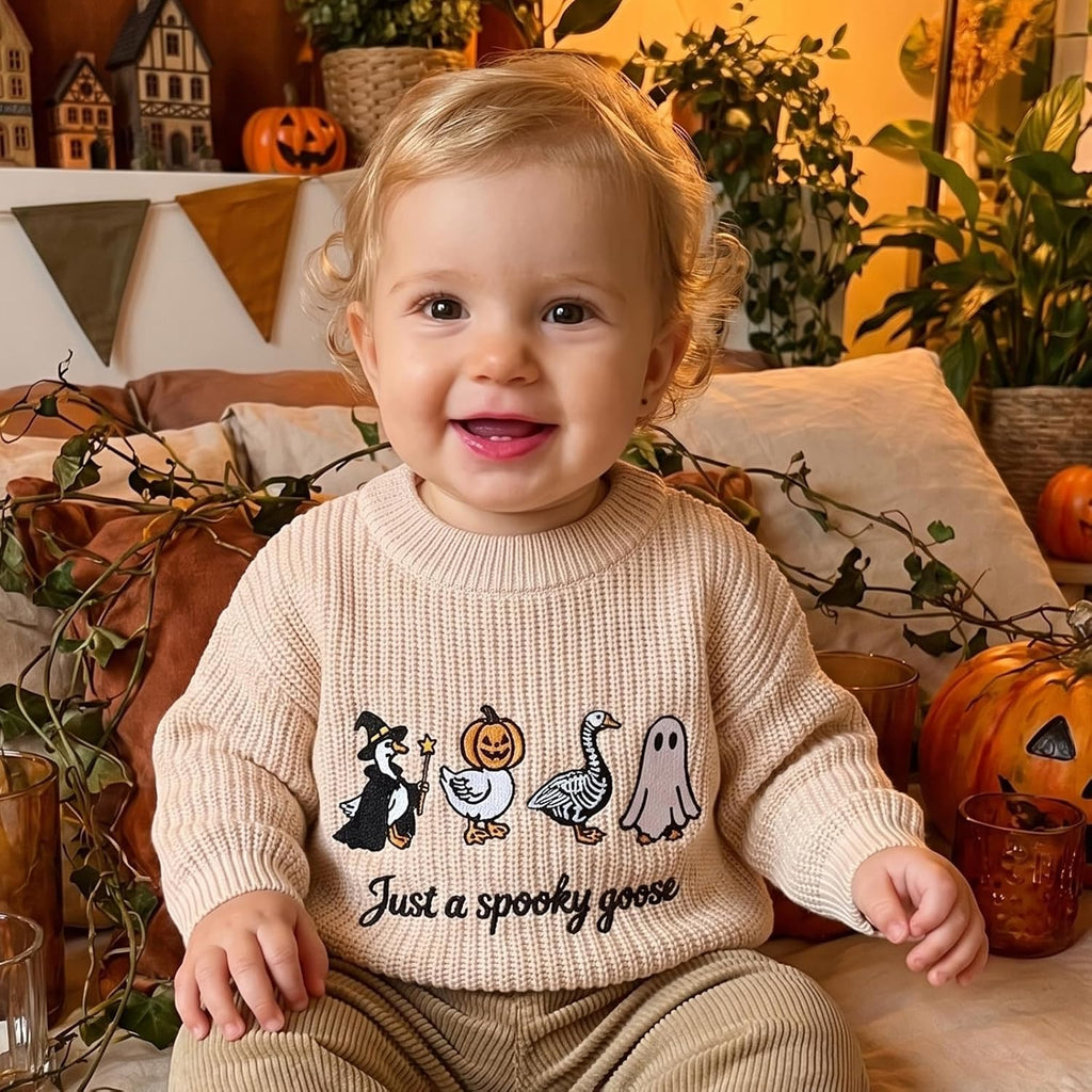 Toddler Baby Boy Girl Goose Sweater Long Sleeve Just A Goose Fall Knitwear