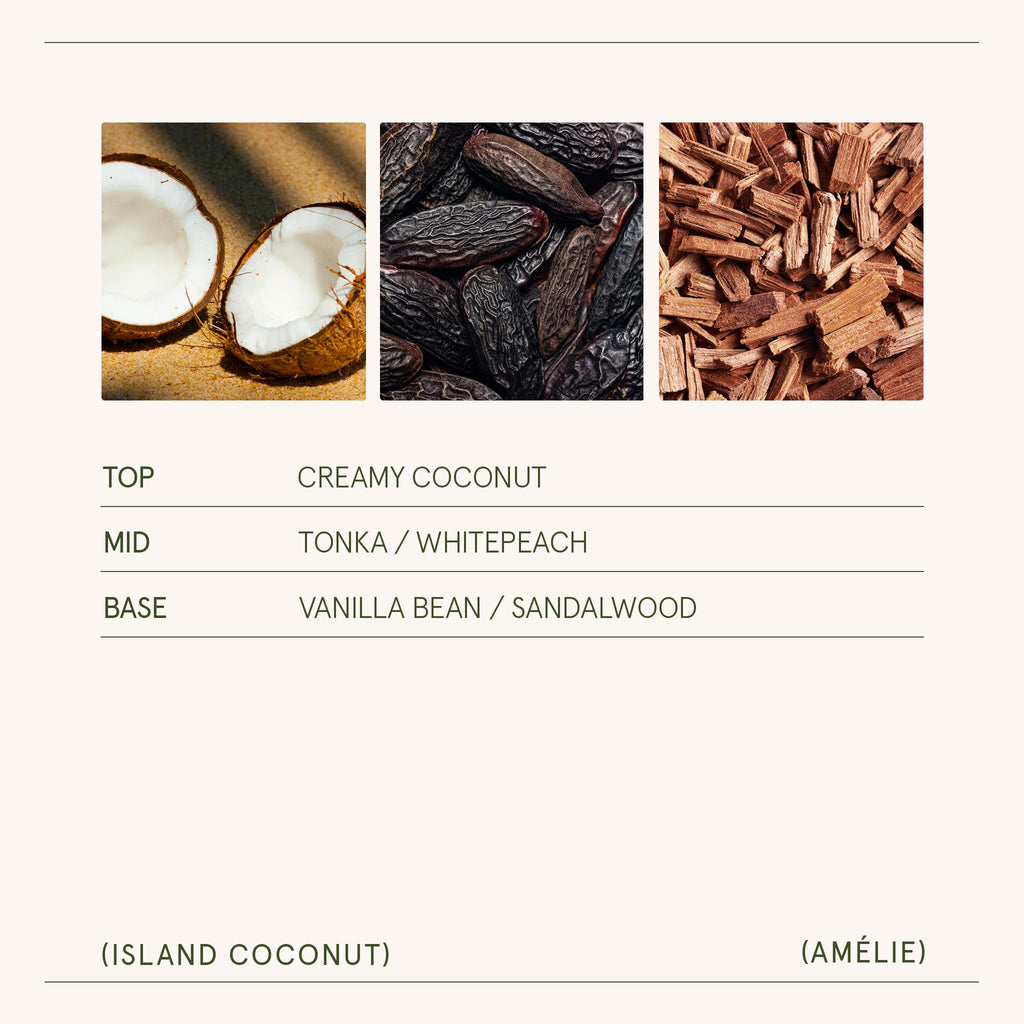 Island Coconut Vanilla Scented Candles, Natural Soy