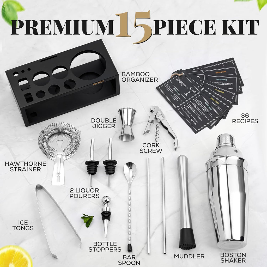 Mixology Bartender Kit with Stand - 15 Piece Bar Tool Set, Silver Bar Set Cocktail Shaker Set for Drink Mixing