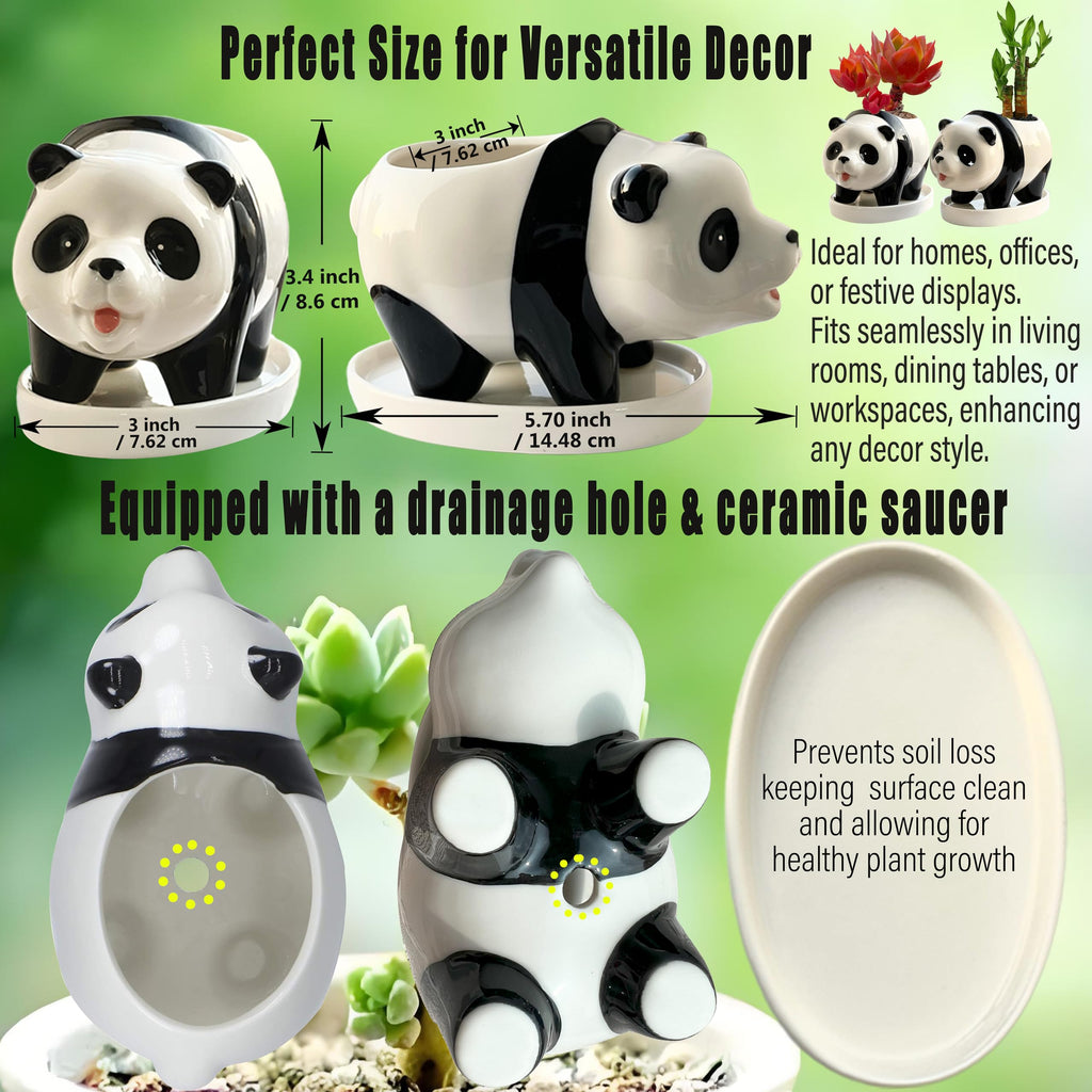 2PC Panda Bamboo Planter Pots-5.7'' Ceramic Animal Planters | Succulent Pots & Drainage Tray-Lucky Bamboo Plant Pots