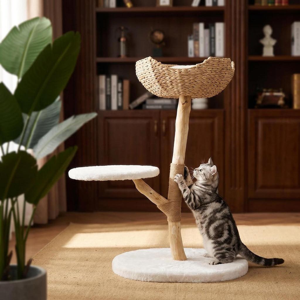 Modern Cat Tree, Natural Pear Wooden Cat Tower for Indoor Cats, Real Branch Luxury Cat Condo with Scratching Post &
