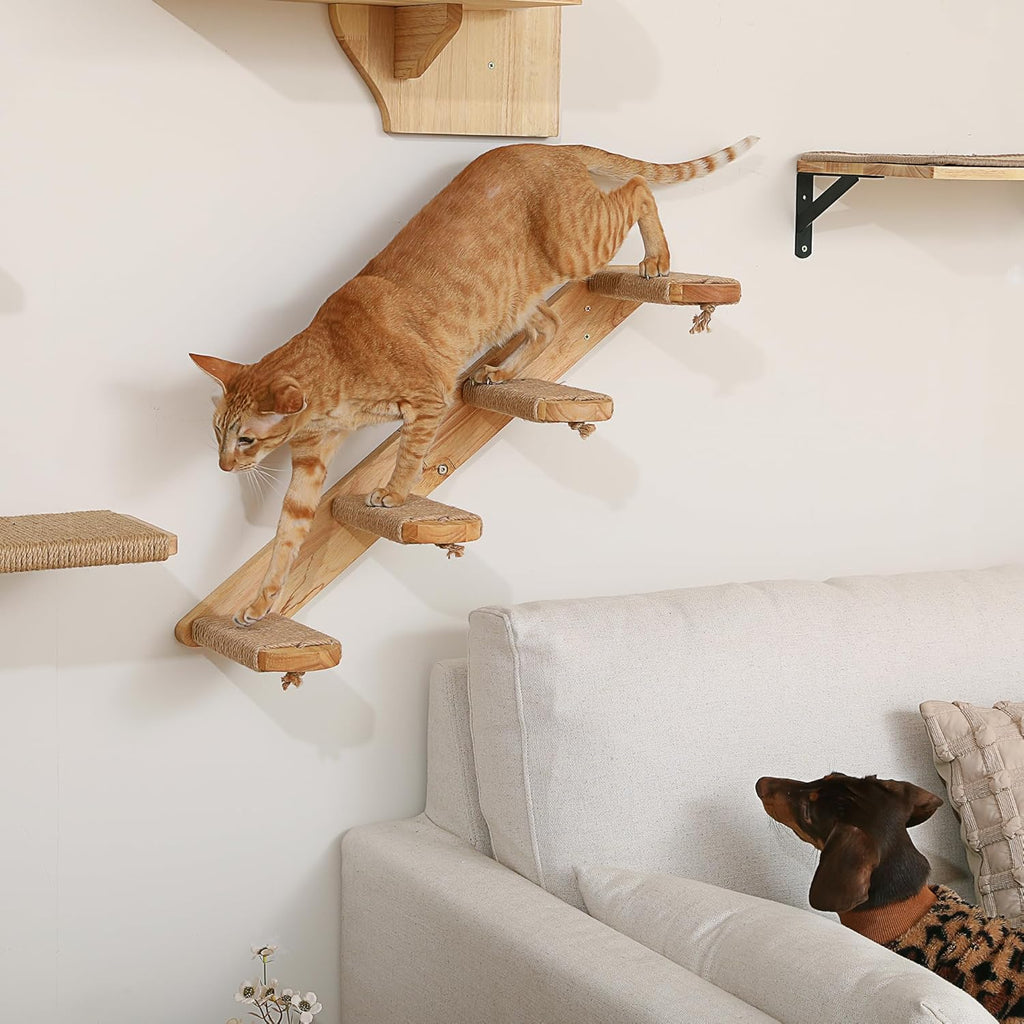 Cat Climbing Shelf Wall Mounted, Large