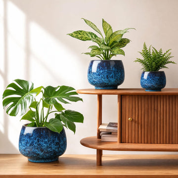Ceramic Plant Pots Set of 3, 6 & 8 & 10 Inch Indoor Planters