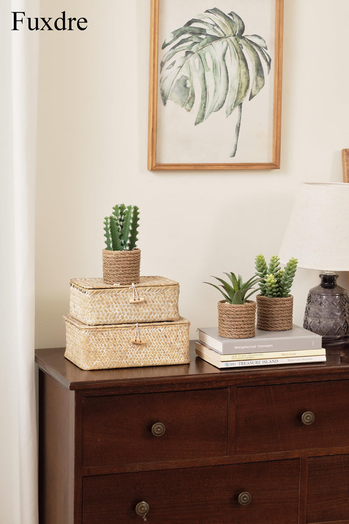 3-Pack Artificial Succulent Plants in Vintage Plastic Pots - Fake Waterproof Succulents Decor, Desk, Shelf - Low