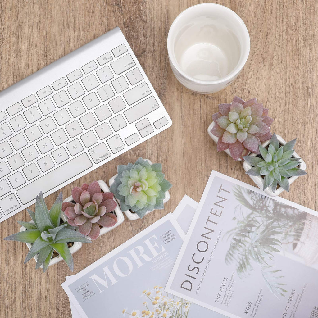 5pcs Artificial Succulent Plants, Small Fake Desk Plants Mini Succulents Indoor for Shelf Living Room Bedroom