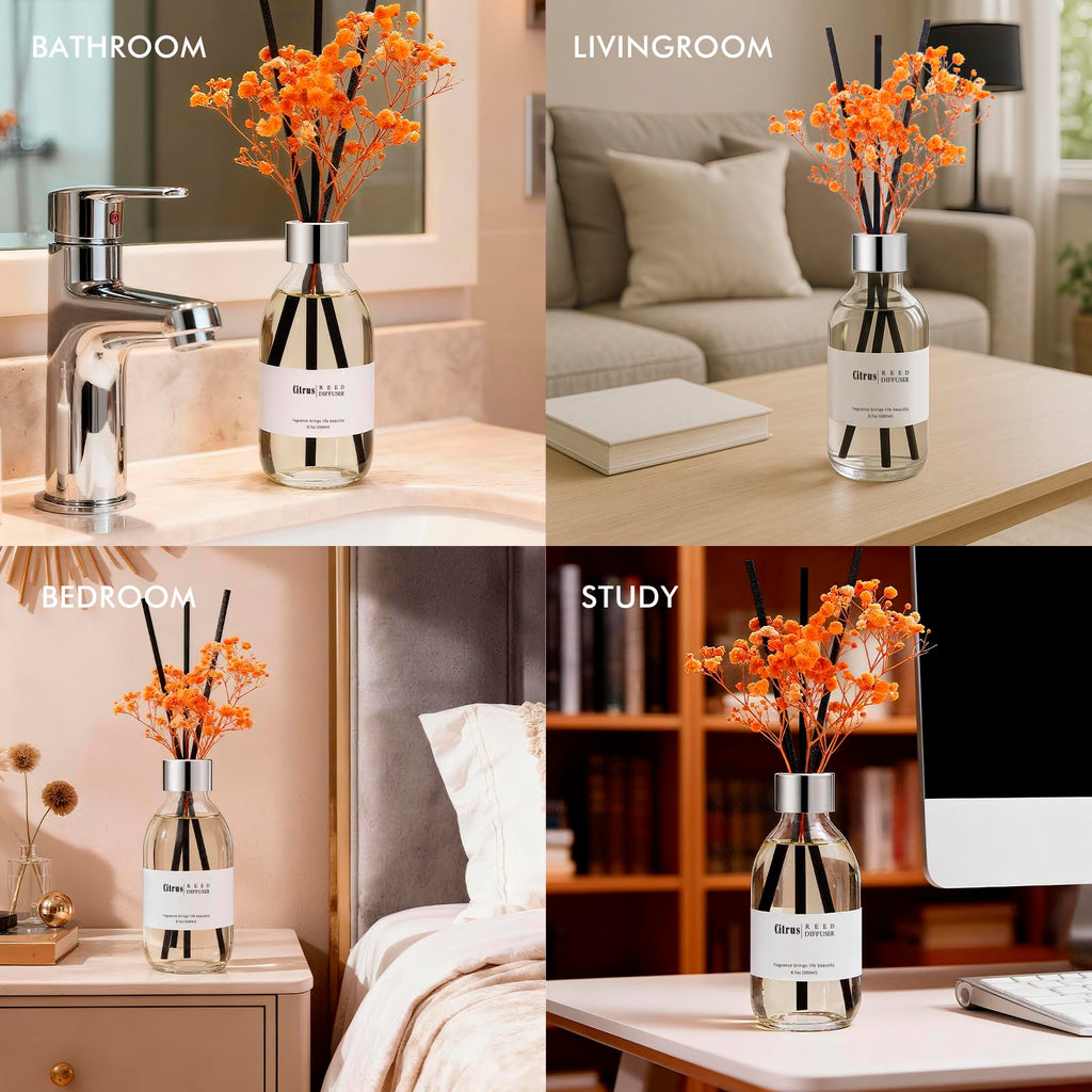 Reed Diffuser Set, 6.7 oz Scented Diffuser with Sticks, Home Fragrance Reed Diffuser Shelf Decor