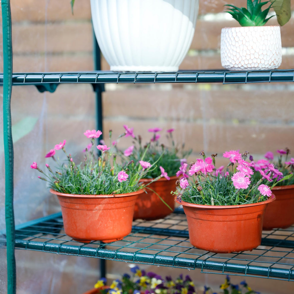 50% Extra Wide Mini Greenhouse 4 Tier Portable Plant Green House 40in Wide -Sturdy Gardening Shelves with PVC Cover
