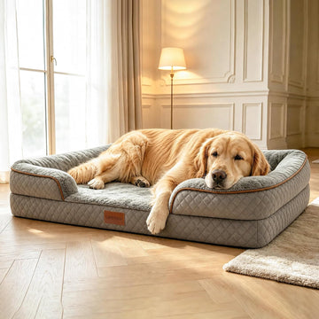 Orthopedic Memory Foam Dog Bed with Reusable Potty Pad