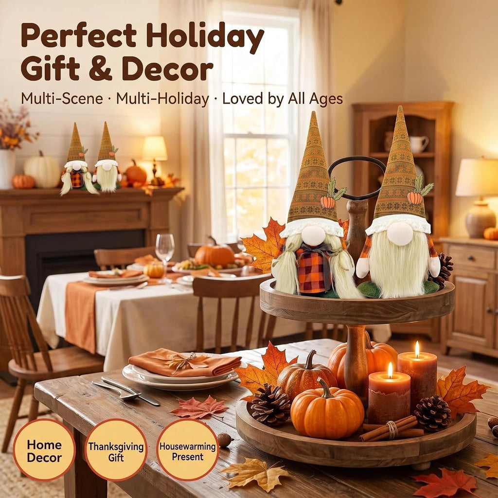 Fall Decorations - Thanksgiving Pumpkin Gnomes Decor - Set of 2