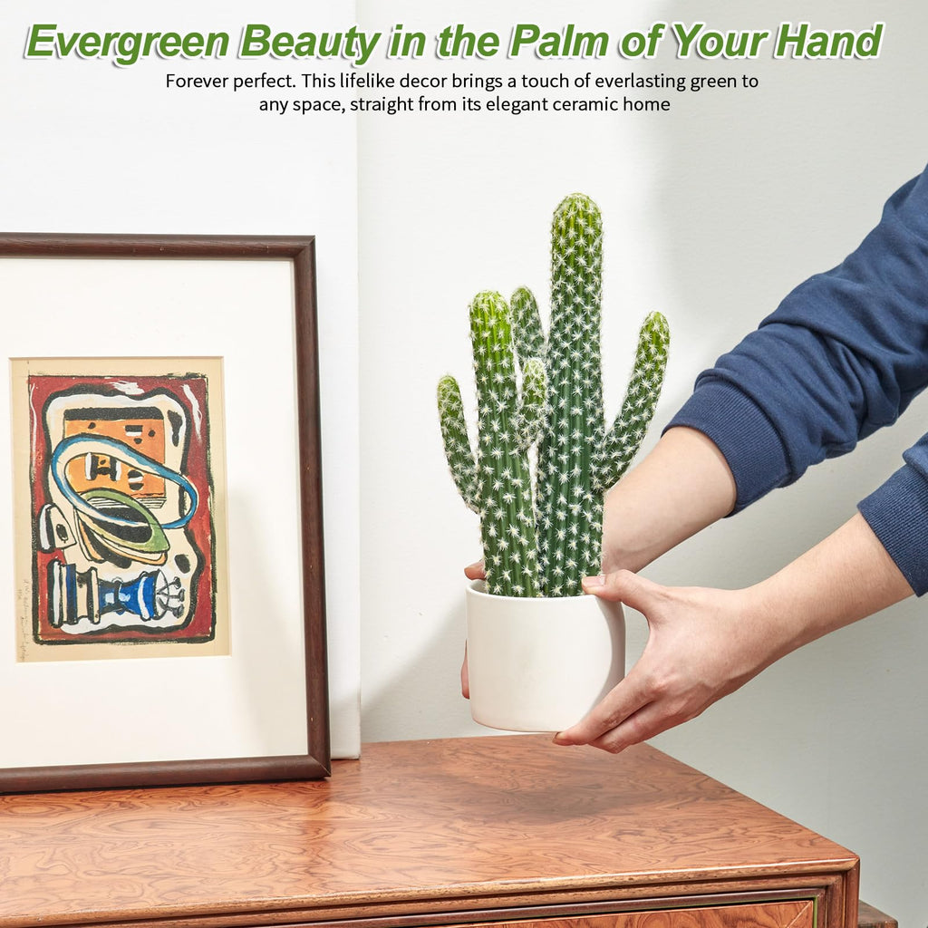 Artificial Cactus Small Fake Succulents Ceramic Plant, Desk, Shelf, and Indoor Dec- 2packs