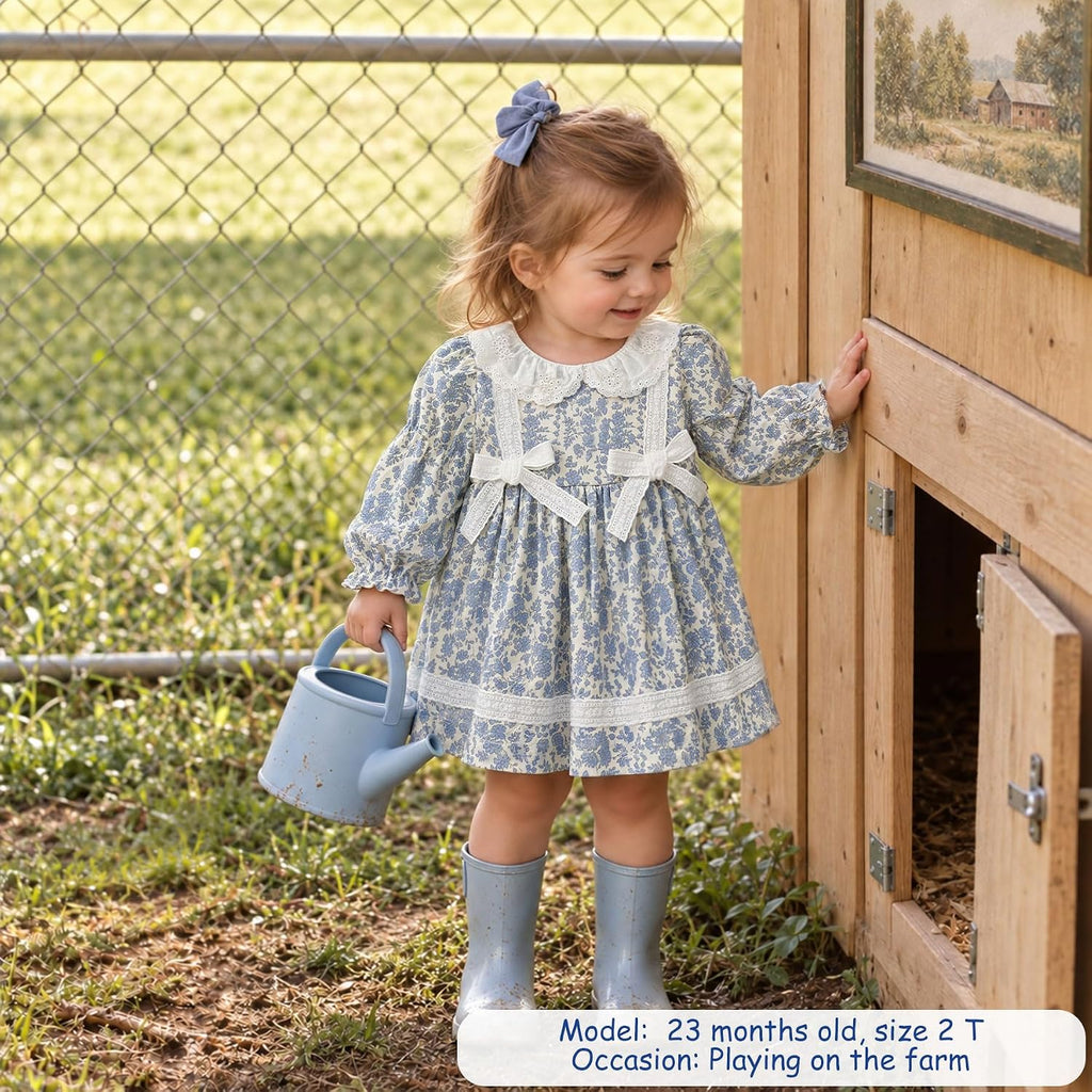 Toddler Floral Dress, Long Sleeve Smocked
